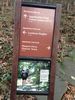 Filename=AT-949-1125_283329.JPG
Filesize=2743KiB
Dimensions=2448x3264
Date added=Nov 01, 2014 AT-949-1125_283329.JPG