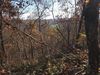 Filename=AT-949-1125_287129.JPG
Filesize=4396KiB
Dimensions=3264x2448
Date added=Nov 01, 2014 AT-949-1125_287129.JPG