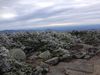 Filename=AT-NH_021.JPG
Filesize=2616KiB
Dimensions=3264x2448
Date added=Nov 16, 2014 AT-NH_021.JPG