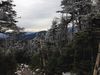 Filename=AT-NH_024.JPG
Filesize=2967KiB
Dimensions=3264x2448
Date added=Nov 16, 2014 AT-NH_024.JPG