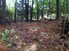 Filename=R1_MillPondCleanup_281329.JPG
Filesize=2443KiB
Dimensions=2592x1936
Date added=Jan 16, 2017 R1_MillPondCleanup_281329.JPG