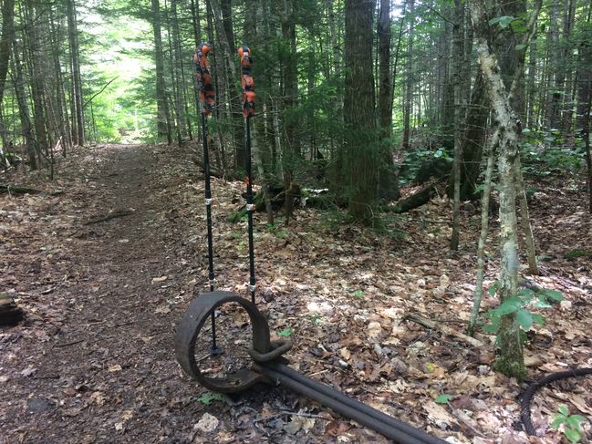 century-old logging artifacts along trail
