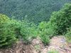 Filename=OwlsHead_016.JPG
Filesize=4137KiB
Dimensions=3264x2448
Date added=Aug 15, 2017 OwlsHead_016.JPG
