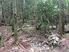Filename=OwlsHead_022.JPG
Filesize=3917KiB
Dimensions=3264x2448
Date added=Aug 15, 2017 OwlsHead_022.JPG