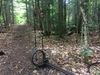 Filename=OwlsHead_023.JPG
Filesize=3703KiB
Dimensions=3264x2448
Date added=Aug 15, 2017 OwlsHead_023.JPG