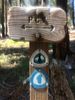 Filename=IMG_9524.JPG
Filesize=2355KiB
Dimensions=2448x3264
Date added=Sep 16, 2018 IMG_9524.JPG