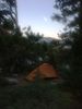Filename=IMG_9542.JPG
Filesize=1754KiB
Dimensions=2448x3264
Date added=Sep 16, 2018 IMG_9542.JPG