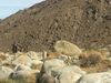 Filename=IMG_9894.JPG
Filesize=1816KiB
Dimensions=3264x2448
Date added=Nov 07, 2018 IMG_9894.JPG
