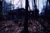 Filename=Scan-181130-0004B_28429.jpg
Filesize=3012KiB
Dimensions=4585x3051
Date added=Dec 02, 2018 Scan-181130-0004B_28429.jpg