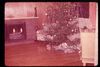 Filename=Scan-181130-0029.jpg
Filesize=3958KiB
Dimensions=4604x3089
Date added=Dec 02, 2018 Scan-181130-0029.jpg
