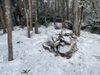 Filename=EastOsceolaSummit.jpg
Filesize=1241KiB
Dimensions=2016x1512
Date added=Jan 02, 2023 EastOsceolaSummit.jpg