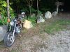 Filename=AT_1865_044.JPG
Filesize=3556KiB
Dimensions=3264x2448
Date added=Oct 01, 2015 AT_1865_044.JPG