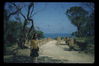 Filename=al117.JPG
Filesize=212KiB
Dimensions=1170x780
Date added=Nov 29, 2009 al117.JPG