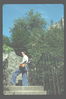 Filename=al124.JPG
Filesize=303KiB
Dimensions=780x1170
Date added=Nov 29, 2009 al124.JPG