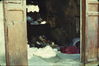 Filename=al140.JPG
Filesize=293KiB
Dimensions=1615x1081
Date added=Nov 29, 2009 al140.JPG