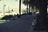 Filename=al146.JPG
Filesize=192KiB
Dimensions=1074x718
Date added=Nov 29, 2009 al146.JPG