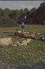 Filename=Image0233.JPG
Filesize=253KiB
Dimensions=712x1082
Date added=Nov 30, 2009 Image0233.JPG