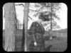 Filename=olea_bull_vaughn_eliot1903.jpg
Filesize=143KiB
Dimensions=1024x768
Date added=Nov 30, 2009 olea_bull_vaughn_eliot1903.jpg