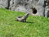 Filename=P1000090.JPG
Filesize=4672KiB
Dimensions=4320x3240
Date added=Nov 18, 2011 P1000090.JPG