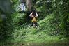 zipline14.JPG