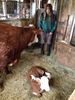 Filename=geoquizcalf_004.JPG
Filesize=2976KiB
Dimensions=2448x3264
Date added=May 16, 2012 geoquizcalf_004.JPG