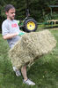 Filename=20110806-JGGS-0667.jpg
Filesize=2444KiB
Dimensions=2496x3744
Date added=Sep 08, 2011 20110806-JGGS-0667.jpg
