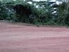 Filename=DSC00001.jpg
Filesize=170KiB
Dimensions=1152x872
Date added=Nov 30, 2009 DSC00001.jpg