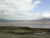 Filename=DSC00026.jpg
Filesize=169KiB
Dimensions=1152x872
Date added=Nov 30, 2009 DSC00026.jpg