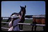 Filename=Europe1966B0018.JPG
Filesize=182KiB
Dimensions=1170x780
Date added=Dec 31, 2011 Europe1966B0018.JPG