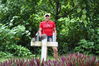 Filename=EPeleliu5.JPG
Filesize=2904KiB
Dimensions=3088x2056
Date added=Mar 30, 2011 EPeleliu5.JPG