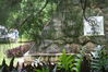 Filename=EPeleliu6.JPG
Filesize=2776KiB
Dimensions=3088x2056
Date added=Mar 30, 2011 EPeleliu6.JPG