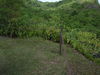Filename=PHorseshoe2.JPG
Filesize=718KiB
Dimensions=2048x1536
Date added=Mar 30, 2011 PHorseshoe2.JPG