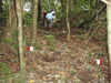 Filename=QBloodyNose03.JPG
Filesize=707KiB
Dimensions=2048x1536
Date added=Mar 30, 2011 QBloodyNose03.JPG