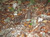 Filename=QBloodyNose04.JPG
Filesize=681KiB
Dimensions=2048x1536
Date added=Mar 30, 2011 QBloodyNose04.JPG