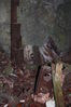Filename=QBloodyNose07.JPG
Filesize=2614KiB
Dimensions=2056x3088
Date added=Mar 30, 2011 QBloodyNose07.JPG