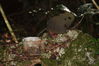 Filename=QBloodyNose09.JPG
Filesize=2576KiB
Dimensions=3088x2056
Date added=Mar 30, 2011 QBloodyNose09.JPG