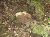 Filename=QBloodyNose12.JPG
Filesize=715KiB
Dimensions=2048x1536
Date added=Mar 30, 2011 QBloodyNose12.JPG