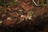 Filename=QBloodyNose13.JPG
Filesize=2540KiB
Dimensions=3088x2056
Date added=Mar 30, 2011 QBloodyNose13.JPG