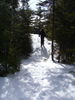 Filename=P1000346.JPG
Filesize=4848KiB
Dimensions=3240x4320
Date added=Feb 24, 2012 P1000346.JPG
