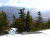 Filename=P1000358.JPG
Filesize=4933KiB
Dimensions=4320x3240
Date added=Feb 24, 2012 P1000358.JPG