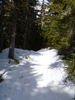 Filename=P1000359.JPG
Filesize=5146KiB
Dimensions=3240x4320
Date added=Feb 24, 2012 P1000359.JPG