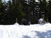 Filename=P1000360.JPG
Filesize=4952KiB
Dimensions=4320x3240
Date added=Feb 24, 2012 P1000360.JPG