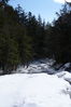 Filename=P1000365.JPG
Filesize=1367KiB
Dimensions=2880x4320
Date added=Feb 24, 2012 P1000365.JPG