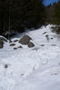 Filename=P1000366.JPG
Filesize=4283KiB
Dimensions=2880x4320
Date added=Feb 24, 2012 P1000366.JPG