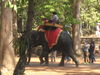 Filename=E6ankor8b.JPG
Filesize=148KiB
Dimensions=640x480
Date added=Mar 20, 2012 E6ankor8b.JPG