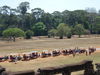 Filename=E6ankor9a.JPG
Filesize=740KiB
Dimensions=2048x1536
Date added=Mar 20, 2012 E6ankor9a.JPG