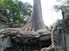 Filename=E8ankor4.JPG
Filesize=147KiB
Dimensions=640x480
Date added=Mar 20, 2012 E8ankor4.JPG