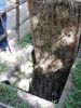 Filename=c1cuchi2.JPG
Filesize=680KiB
Dimensions=1536x2048
Date added=Mar 20, 2012 c1cuchi2.JPG