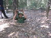 Filename=c1cuchi5.JPG
Filesize=196KiB
Dimensions=640x480
Date added=Mar 20, 2012 c1cuchi5.JPG