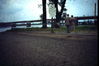 Filename=OldSweden0001.JPG
Filesize=316KiB
Dimensions=1170x780
Date added=Dec 30, 2011 OldSweden0001.JPG